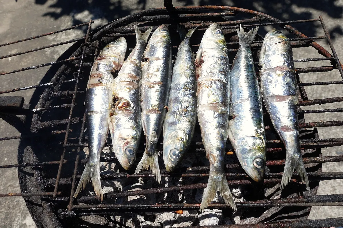 Fresh sardines on a charcoal grill